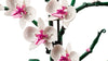 LEGO 10311 Orchidee